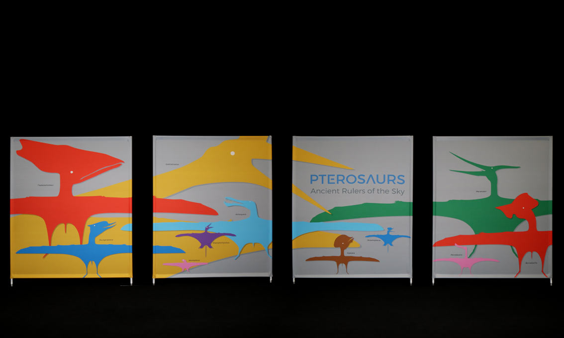 A set of matching printed Quick Walls for Science Works with a mural of pterosaur silhouettes printed across the four separate Quick Walls